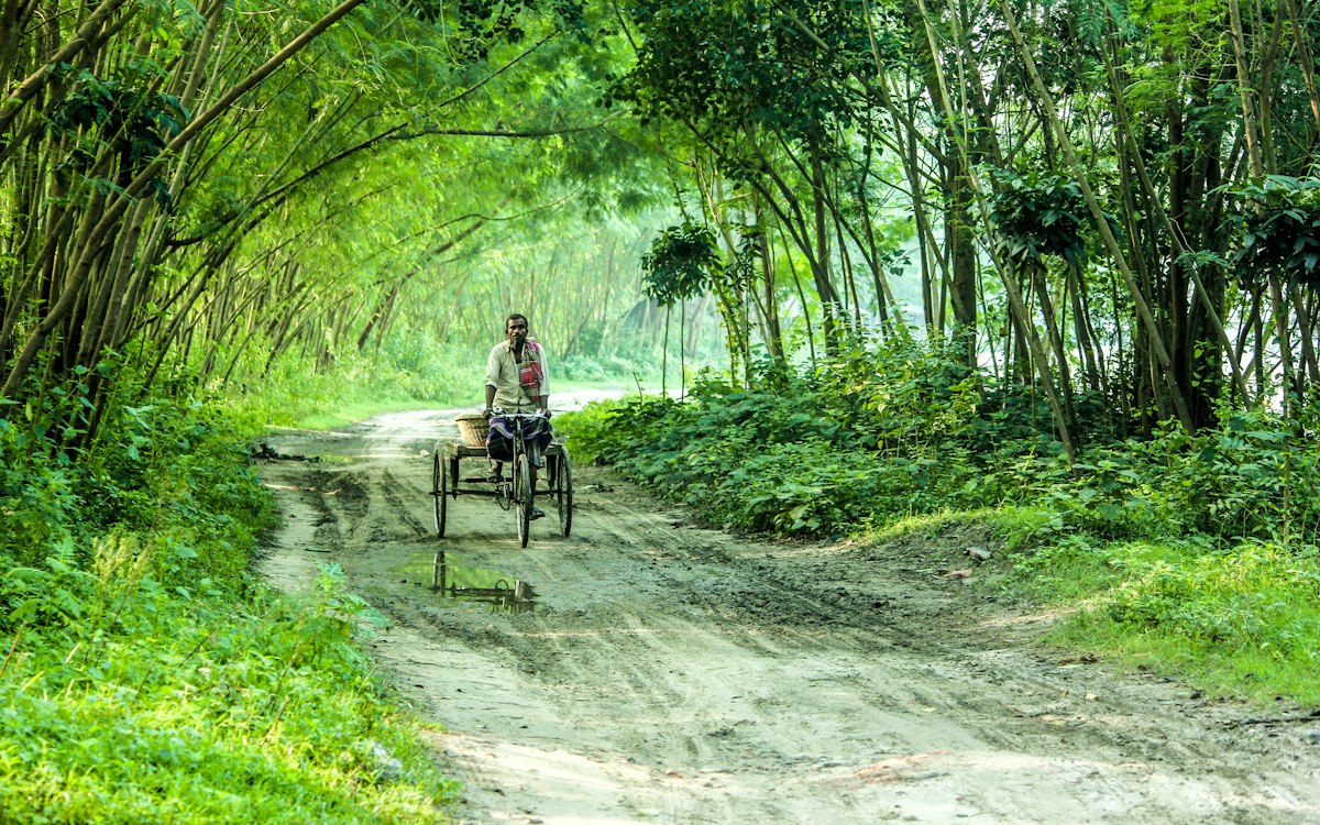 রাজশাহীতে আমের বাম্পার ফলন, খুশি চাষিরা
