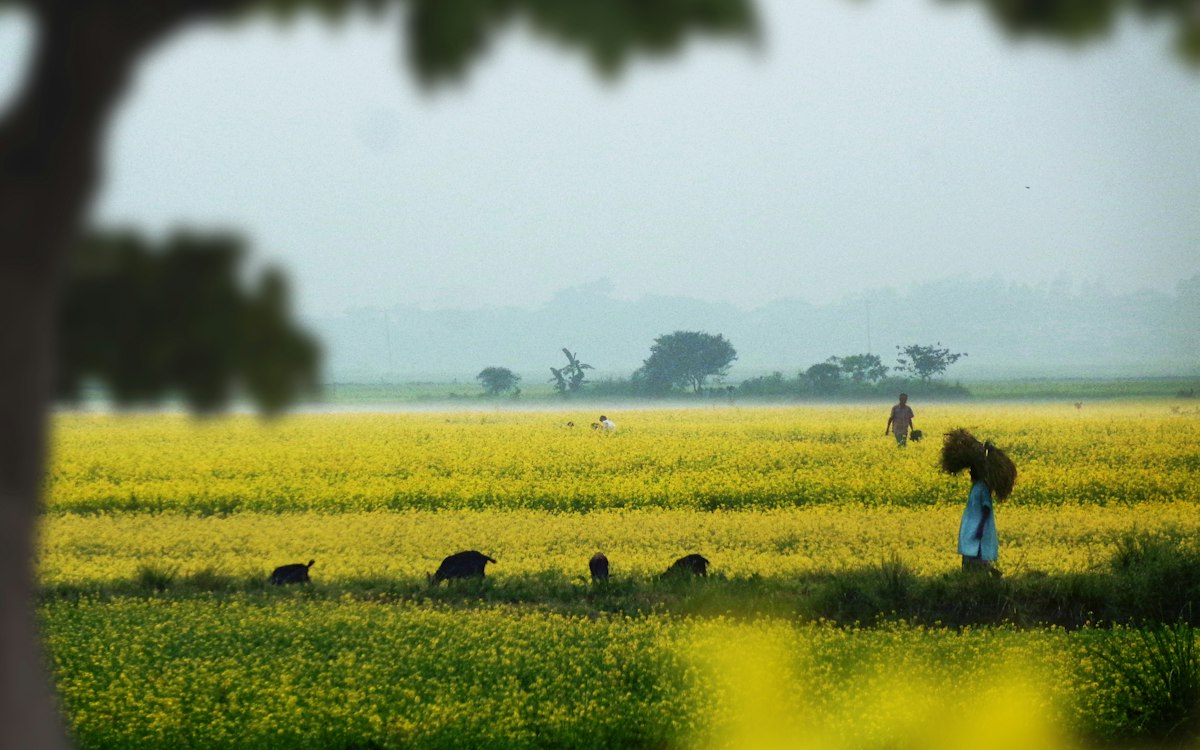 কক্সবাজারে পর্যটকের ঢল, হোটেলে ঠাঁই নেই